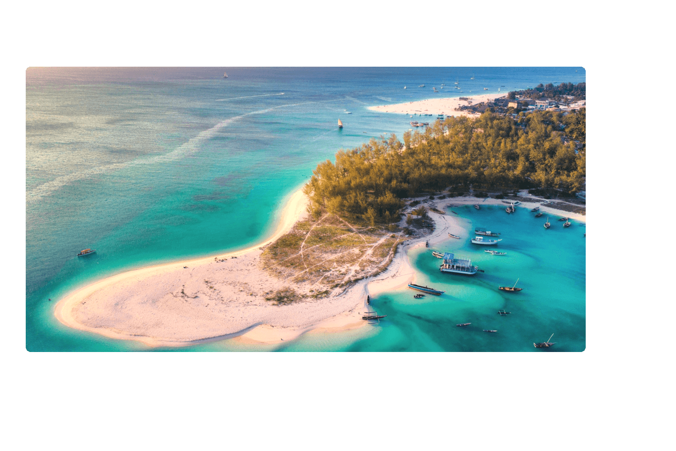 Newsletter background